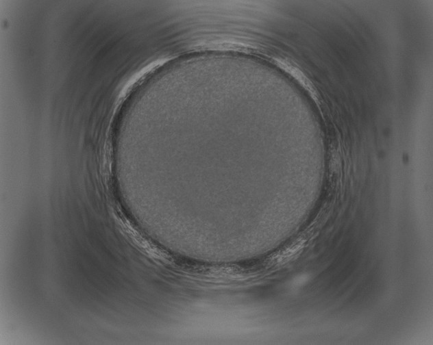 X0000086110979200704091414