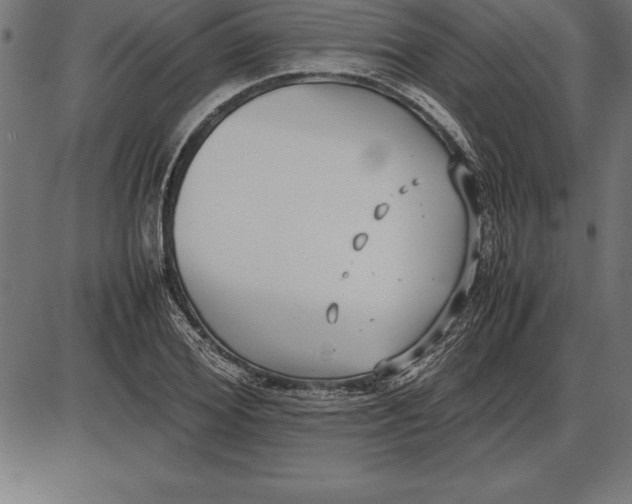 X0000086110980200704091414