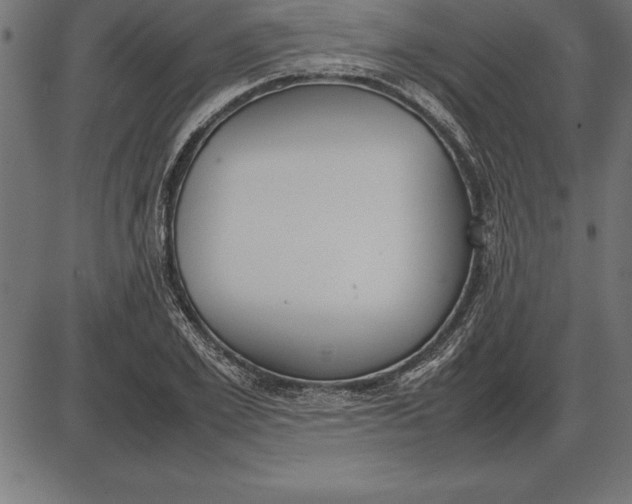 X0000086110981200704091414