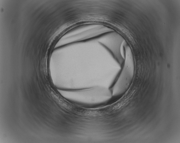 X0000086110982200704091414