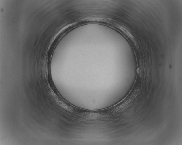 X0000086110984200704091414