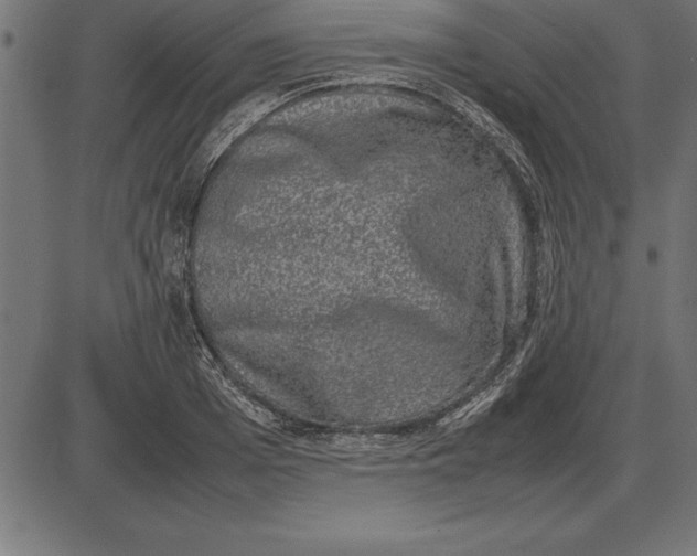 X0000086110985200704091414