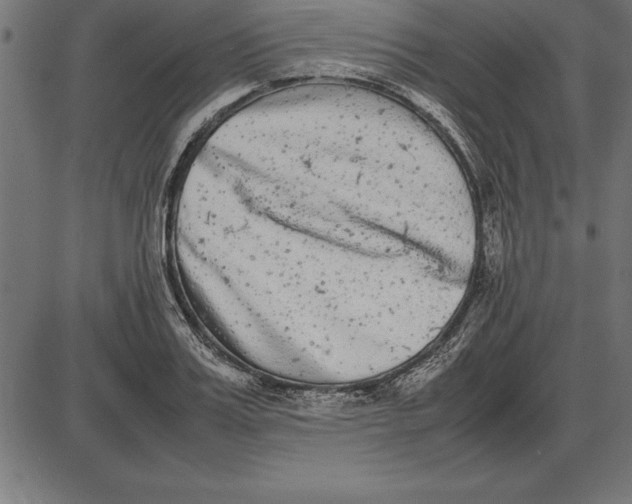 X0000086110987200704091414