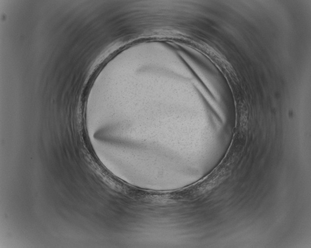 X0000086110990200704091414