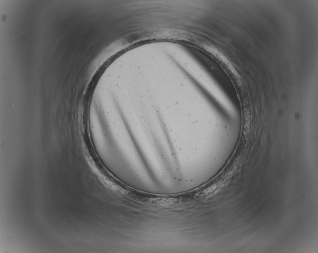 X0000086110991200704091414