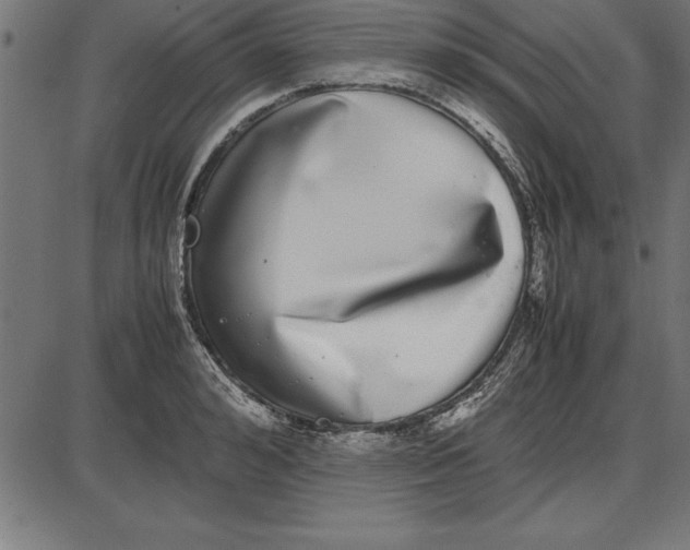 X0000086110992200704091414