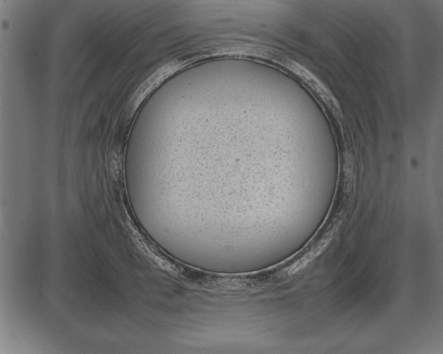 X0000086110993200704091414