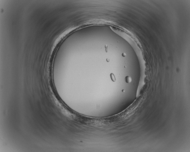 X0000086110995200704091413