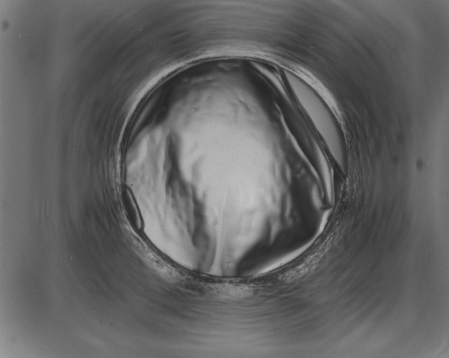 X0000086110996200704091413