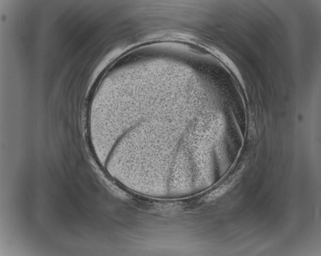 X0000086110997200704091413