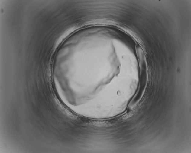 X0000086110998200704091413