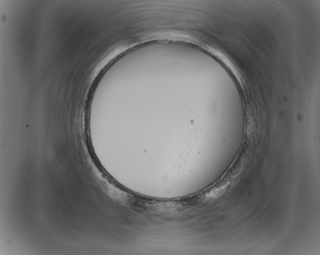 X0000086110999200704091413