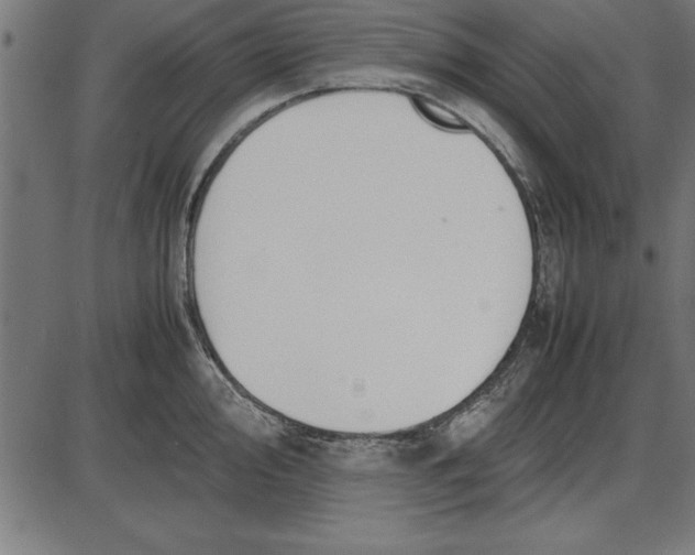 X0000086111000200704091413