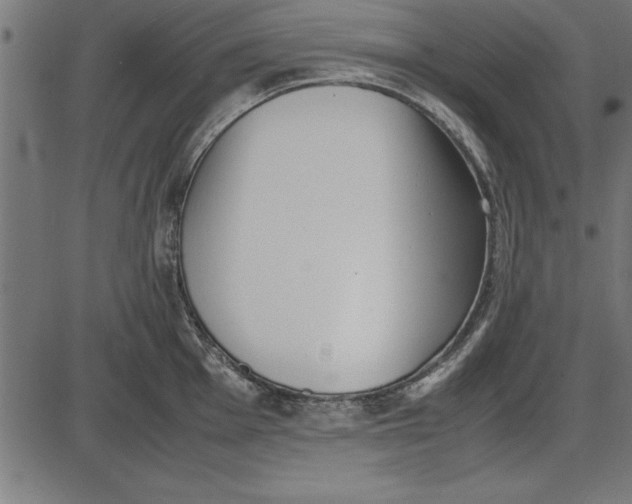 X0000086111001200704091413