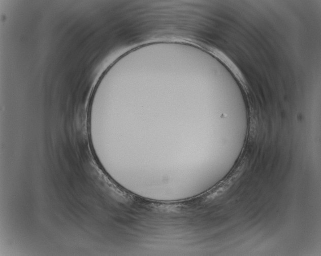 X0000086111004200704091413