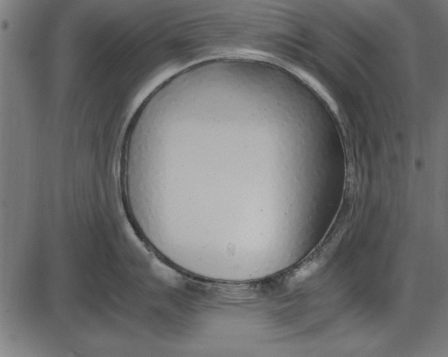 X0000086111007200704091413