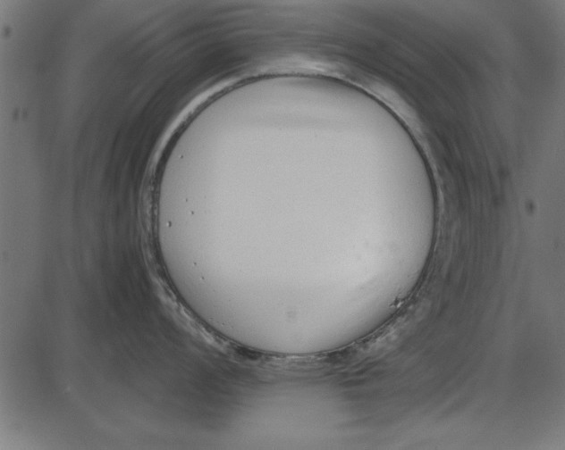 X0000086111008200704091413