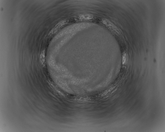 X0000086111011200704091413