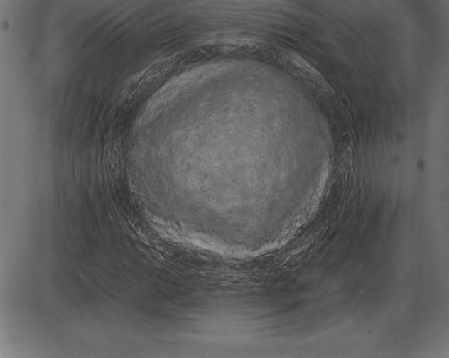 X0000086111014200704091413