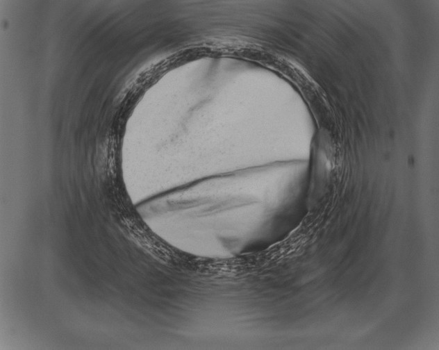 X0000086111016200704091413