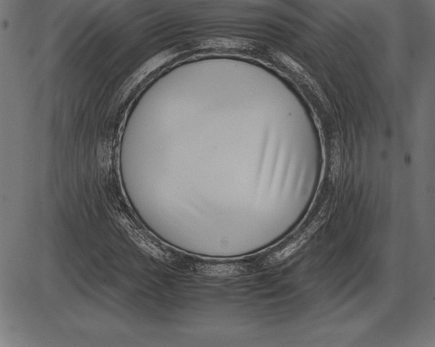 X0000086111017200704091413