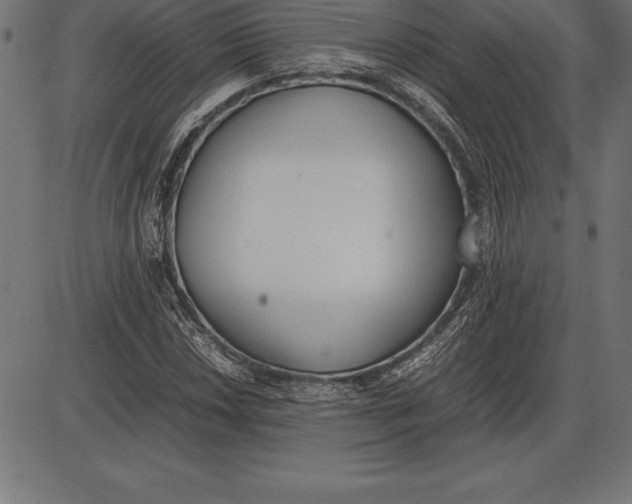 X0000086111018200704091413