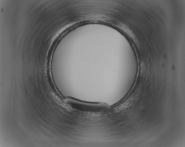 X0000086111020200704091413