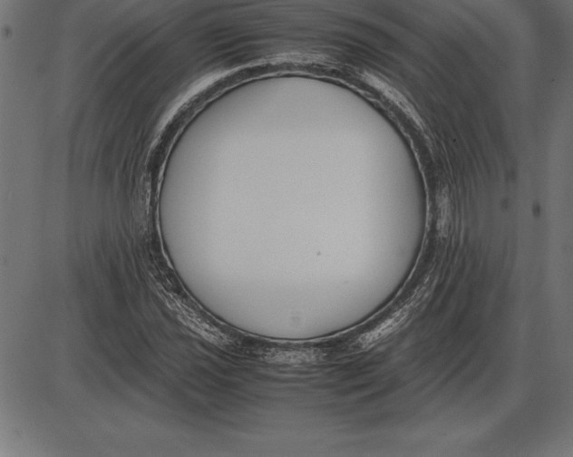 X0000086111021200704091413