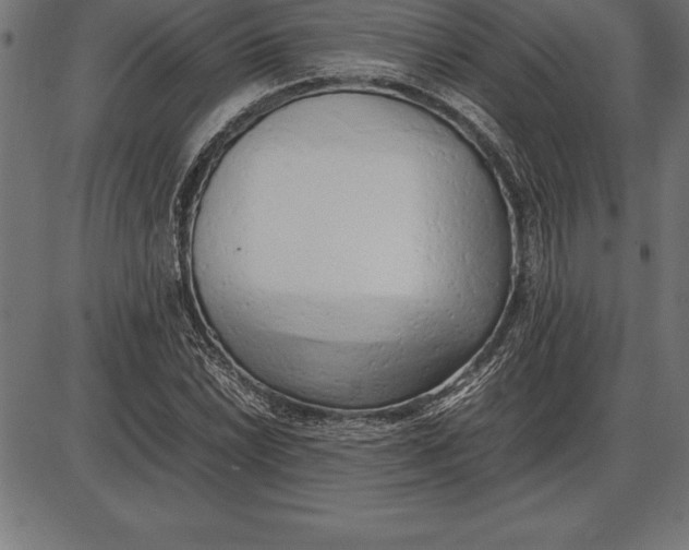 X0000086111022200704091413