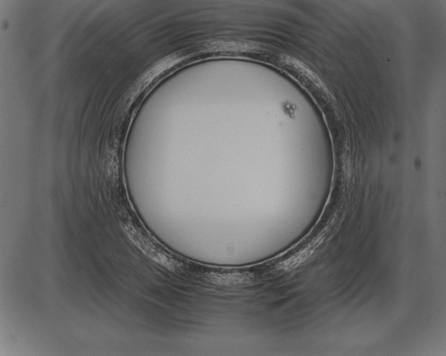 X0000086111025200704091413