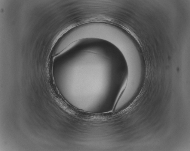 X0000086111026200704091413