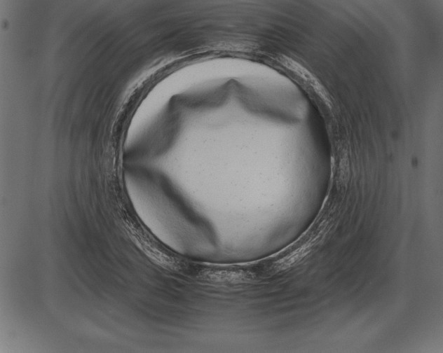 X0000086111027200704091413