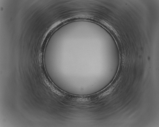 X0000086111029200704091413