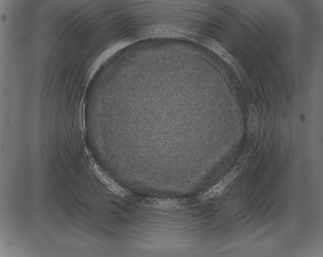 X0000086111030200704091413