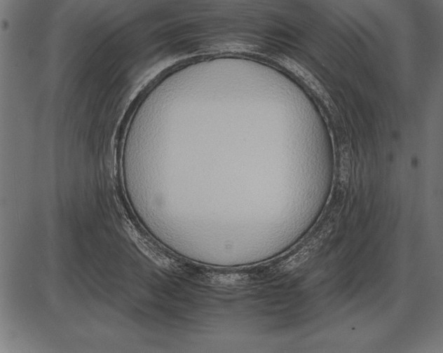 X0000086111031200704091413