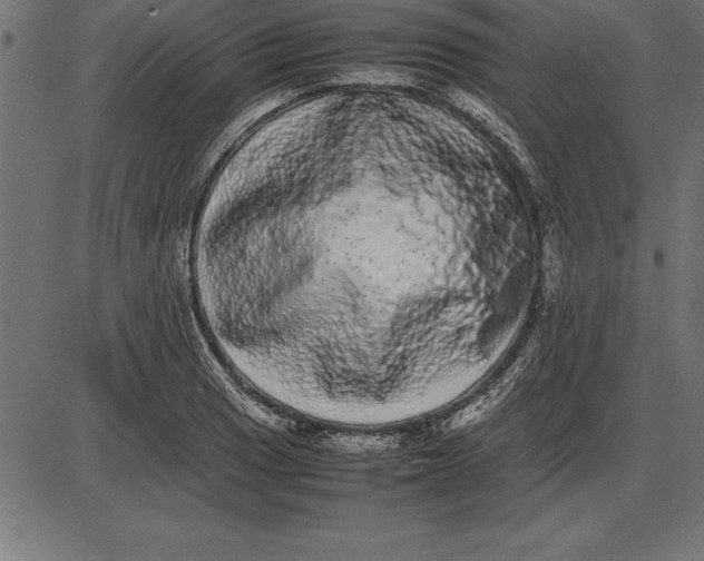 X0000086111033200704091413