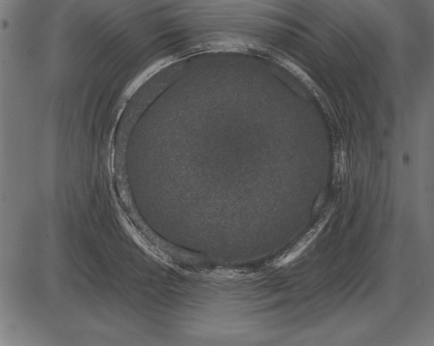 X0000086111034200704091413