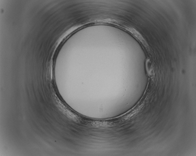 X0000086111036200704091413