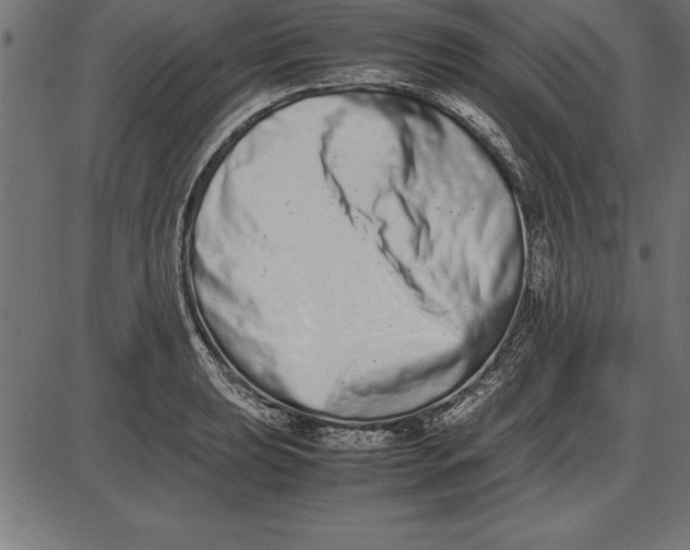 X0000086111039200704091413