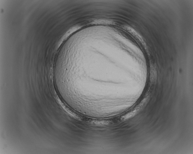 X0000086111041200704091413