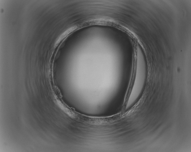 X0000086111042200704091413