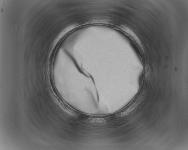 X0000086111043200704091413