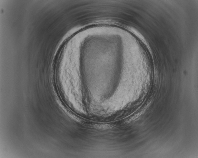 X0000086111045200704091413