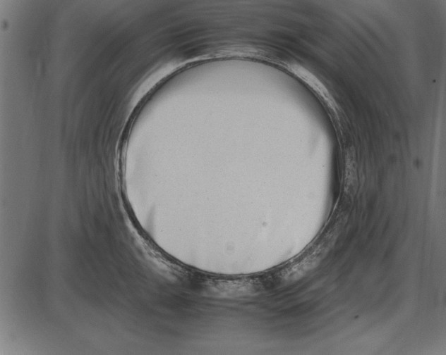 X0000086111047200704091413