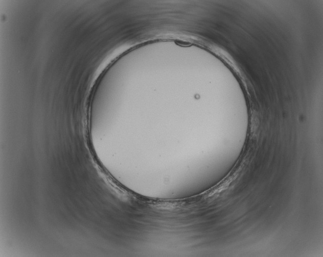 X0000086111048200704091413