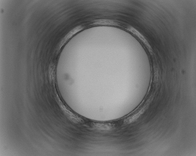 X0000086111049200704091413