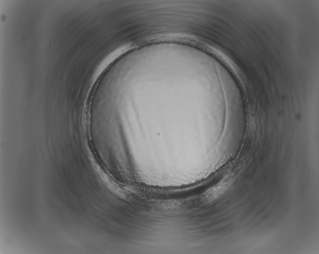 X0000086111050200704091413