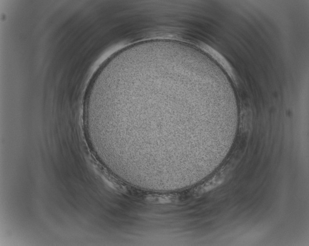 X0000086111051200704091413