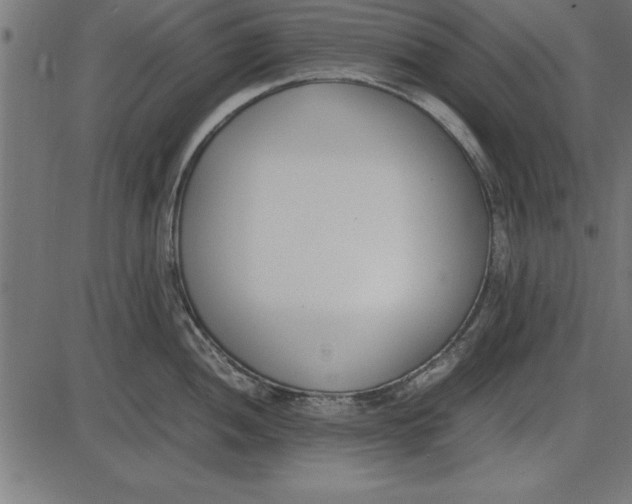 X0000086111052200704091413