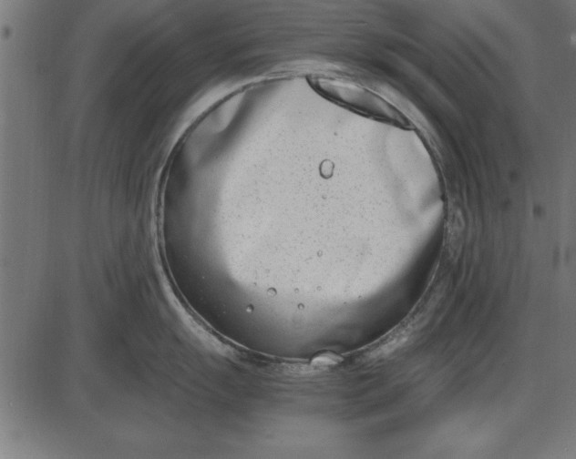 X0000086111055200704091413